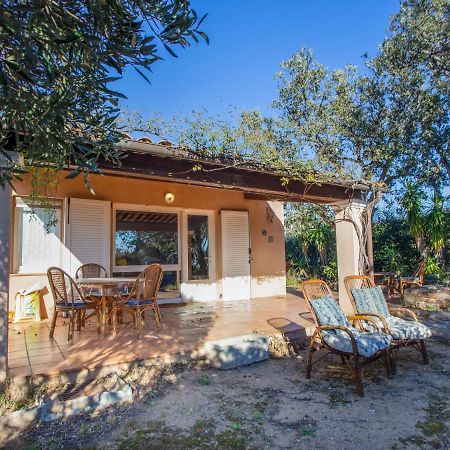 Apartment L'Olivastre By Interhome Le Lavandou Exterior foto